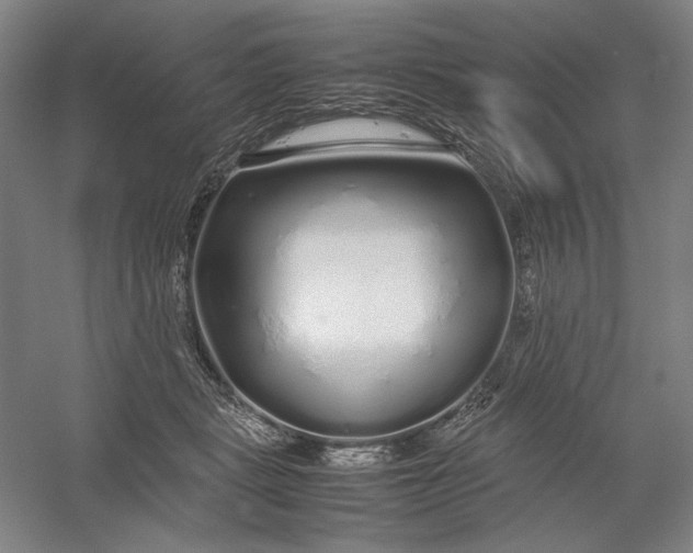 X0000054410461200508192036