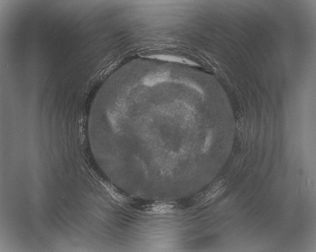 X0000054410462200508192036