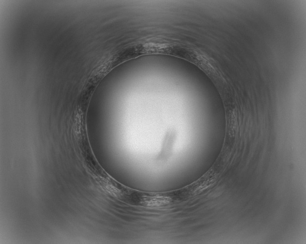 X0000054410463200508192036
