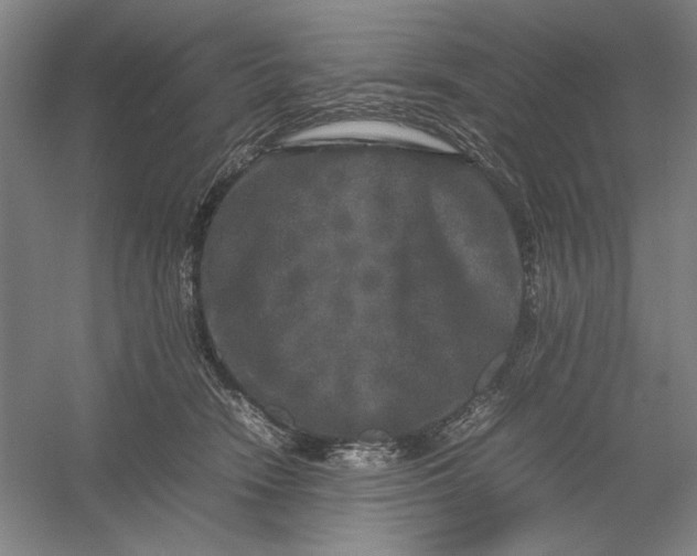 X0000054410466200508192036