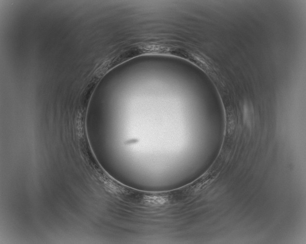 X0000054410469200508192036