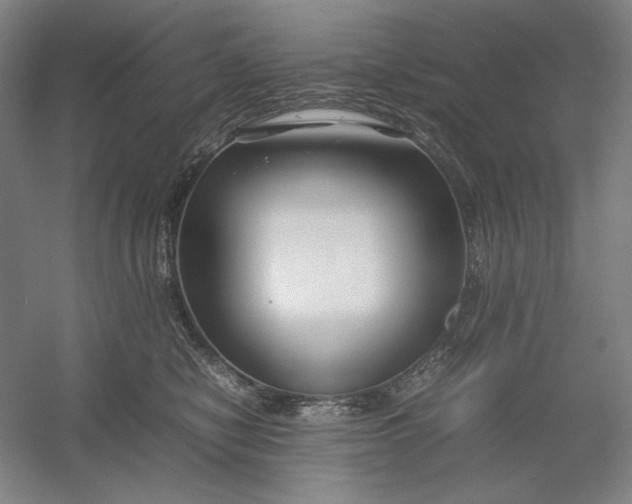 X0000054410470200508192036