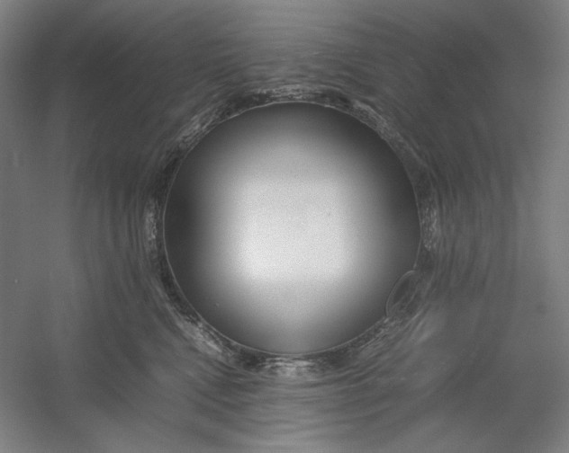 X0000054410472200508192036