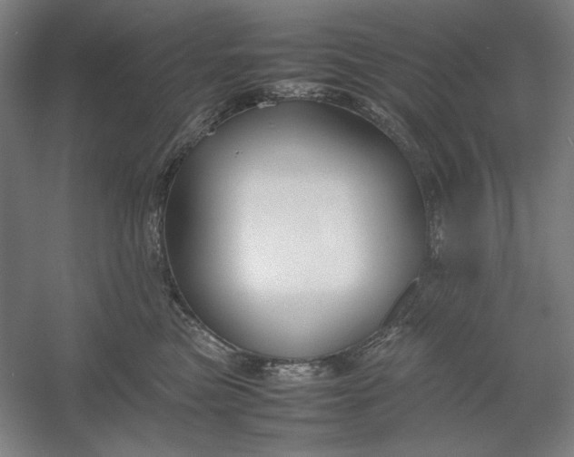 X0000054410473200508192036