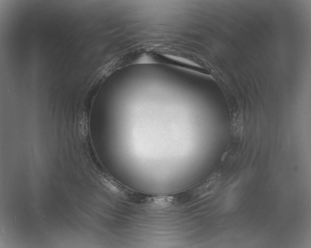 X0000054410474200508192036
