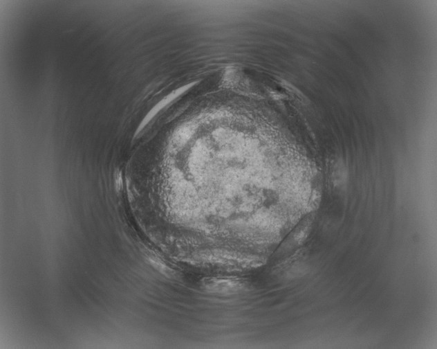 X0000054410475200508192036