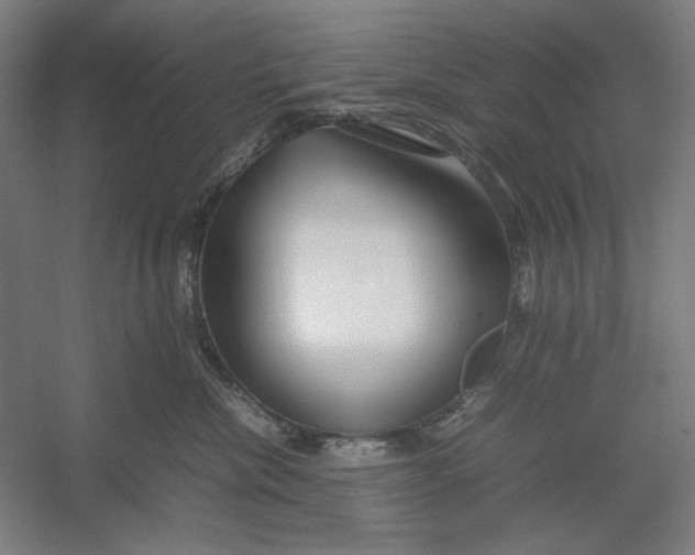 X0000054410476200508192036