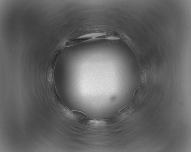 X0000054410477200508192036