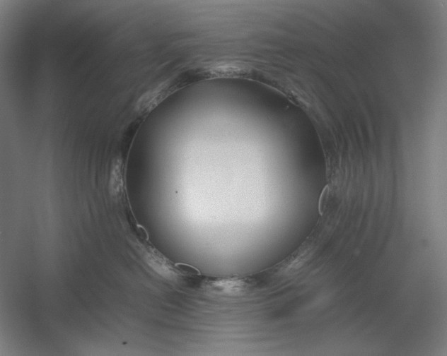 X0000054410478200508192036