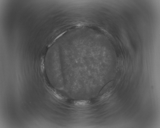 X0000054410479200508192036