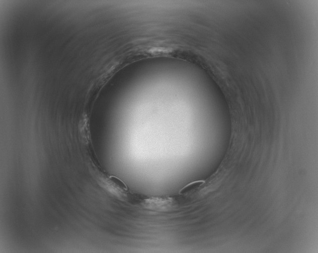 X0000054410480200508192036