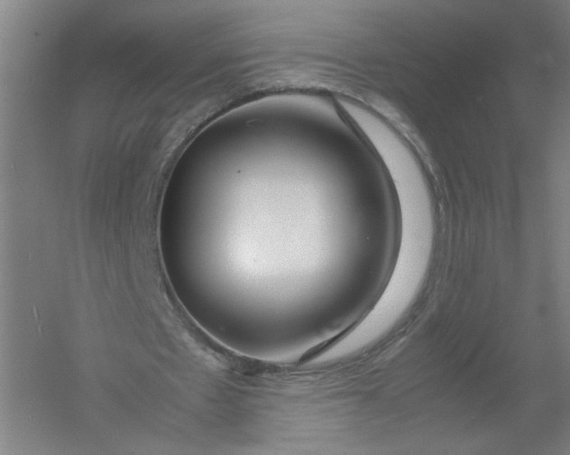 X0000054410481200508192035