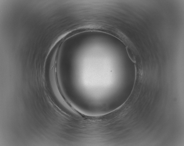 X0000054410484200508192035
