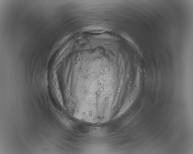 X0000054410486200508192035