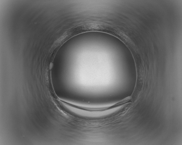 X0000054410489200508192035