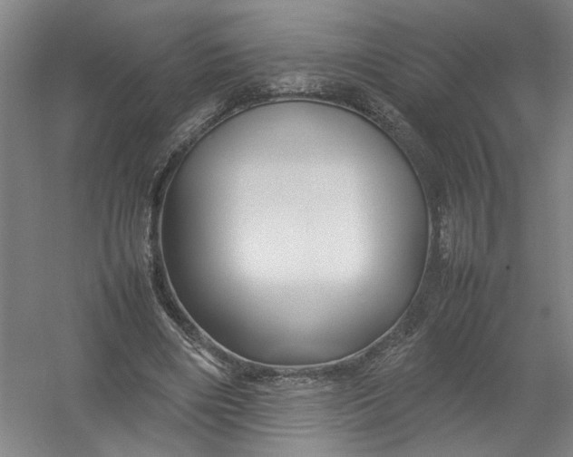 X0000054410490200508192035