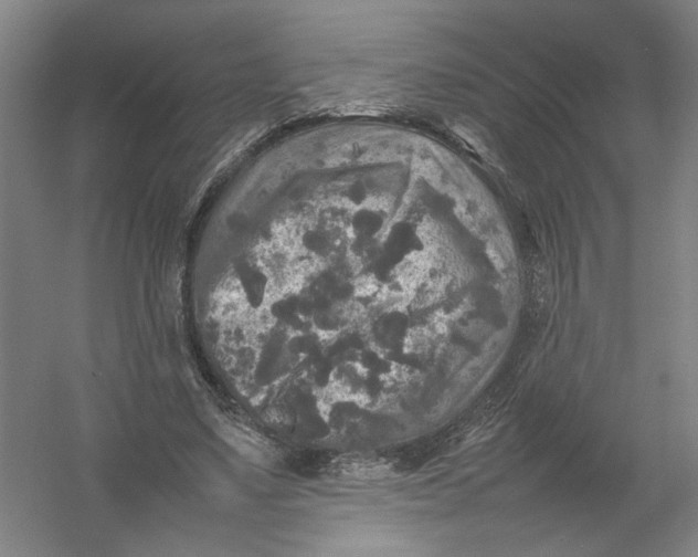 X0000054410491200508192035