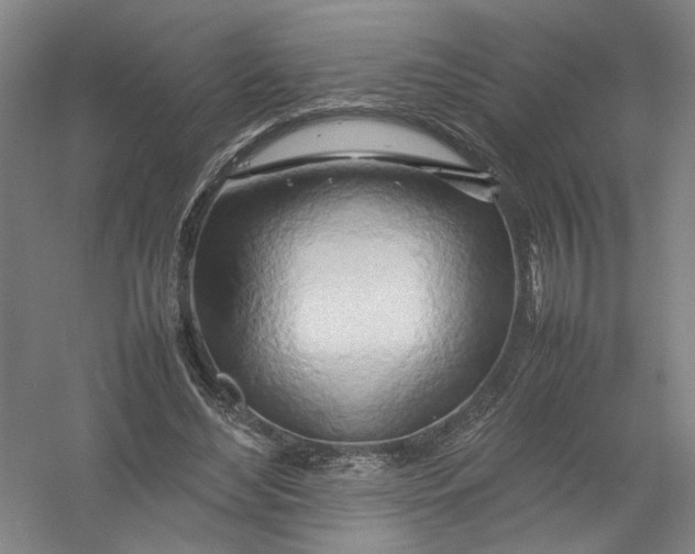 X0000054410492200508192035
