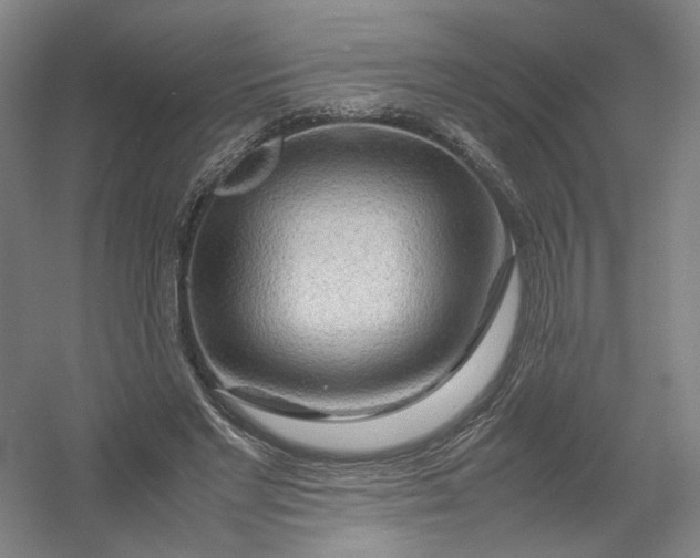 X0000054410493200508192035