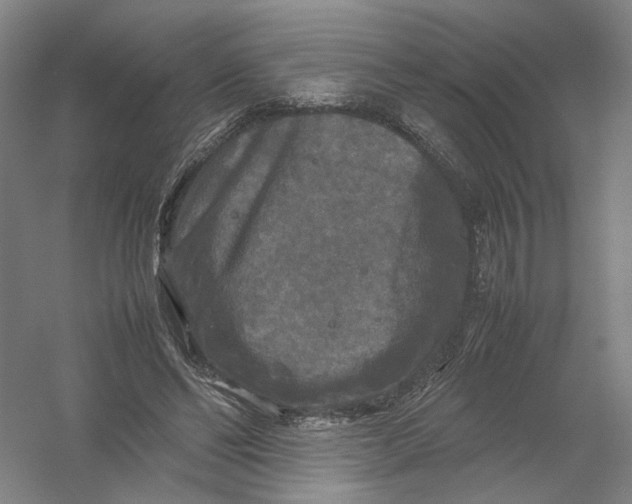 X0000054410494200508192035