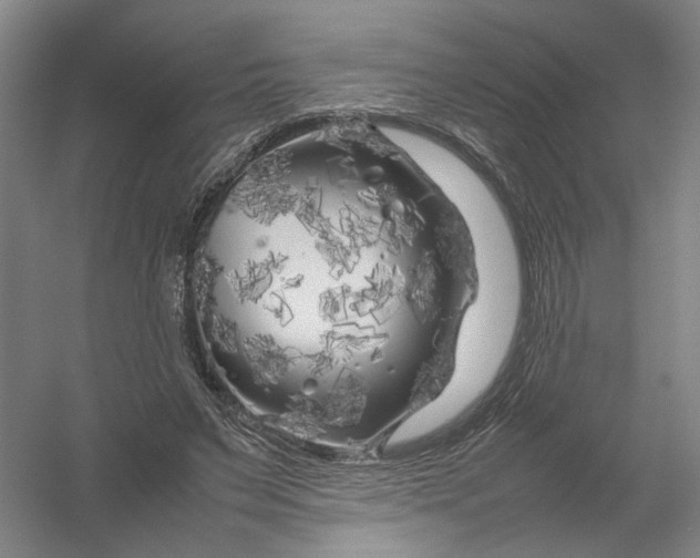 X0000054410495200508192035