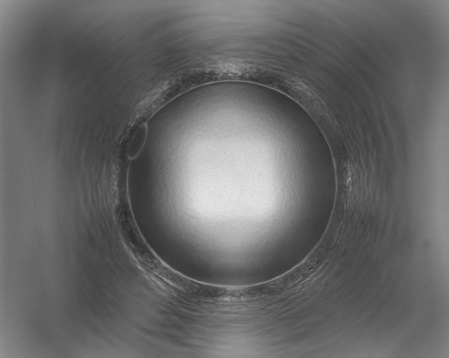 X0000054410496200508192035