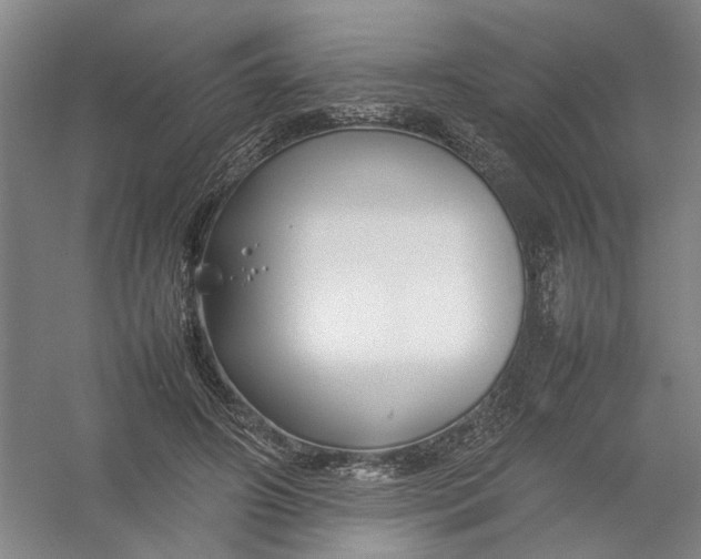 X0000054410498200508192035