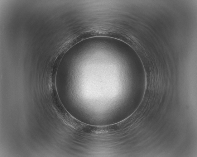 X0000054410500200508192035
