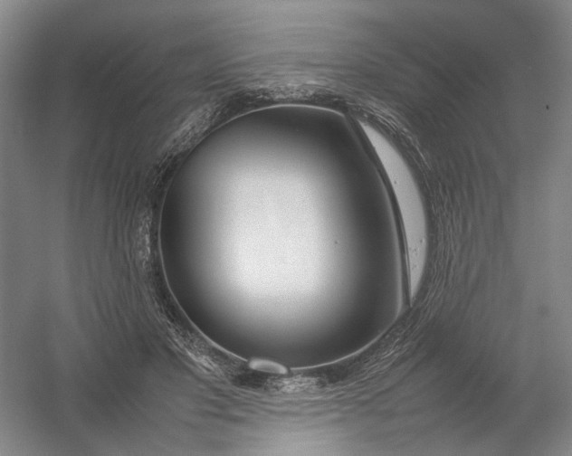X0000054410501200508192035
