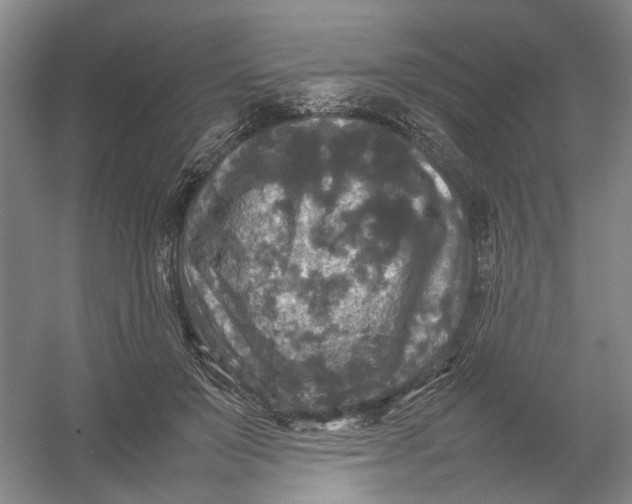 X0000054410503200508192035