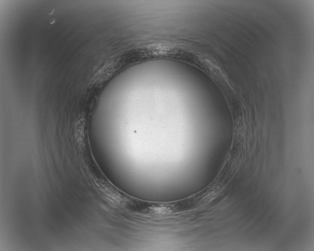 X0000054410509200508192035