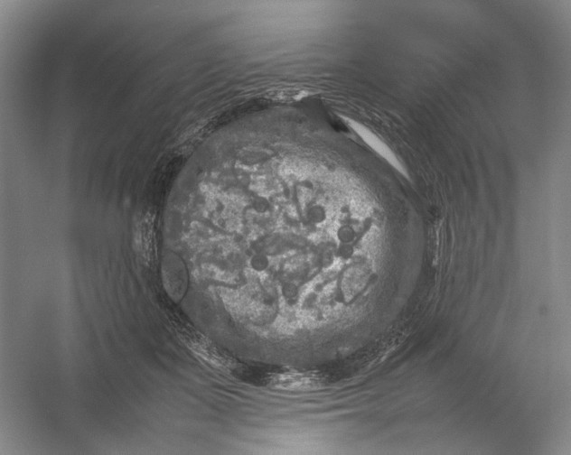 X0000054410511200508192035