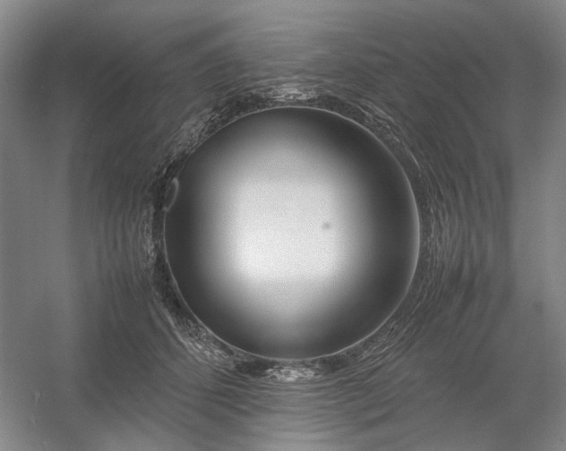 X0000054410512200508192035