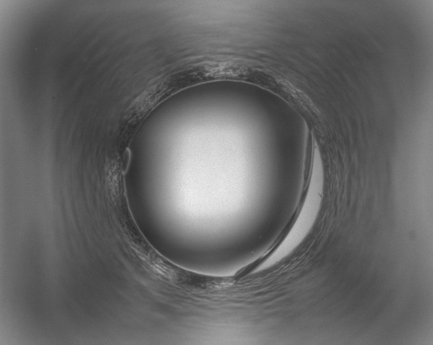 X0000054410513200508192035