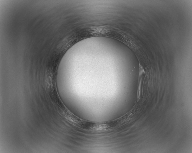 X0000054410514200508192034