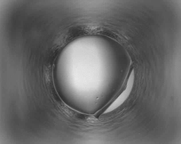 X0000054410515200508192034