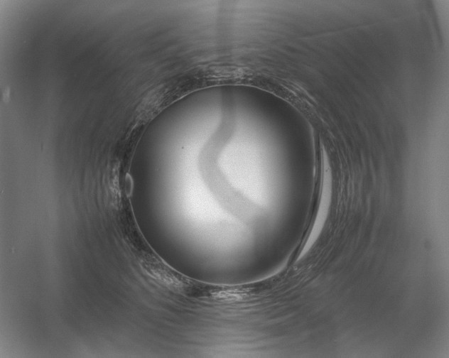 X0000054410516200508192034