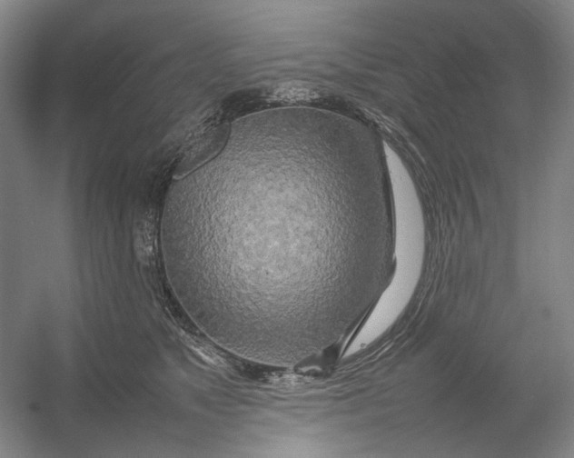 X0000054410517200508192034