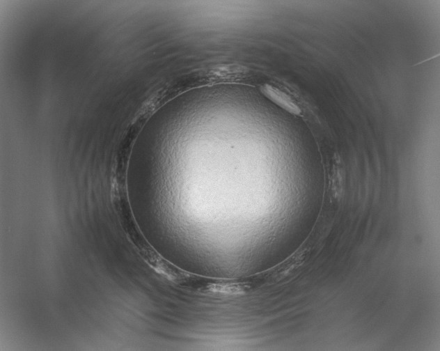 X0000054410520200508192034