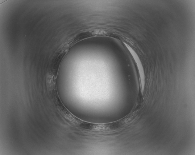 X0000054410521200508192034