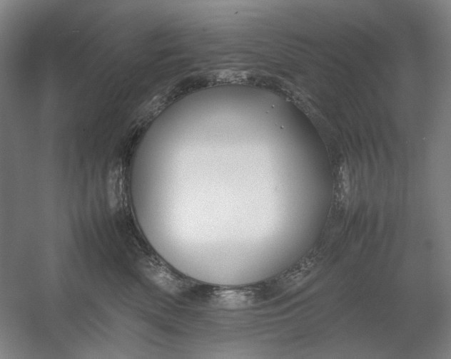 X0000054410522200508192034