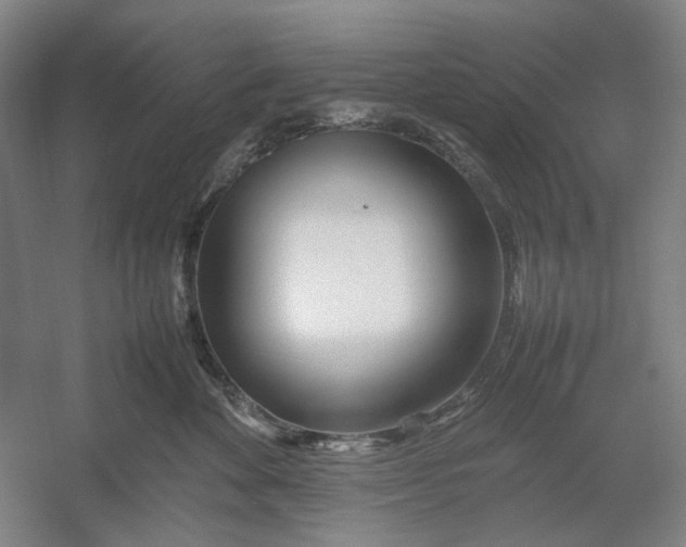 X0000054410524200508192034