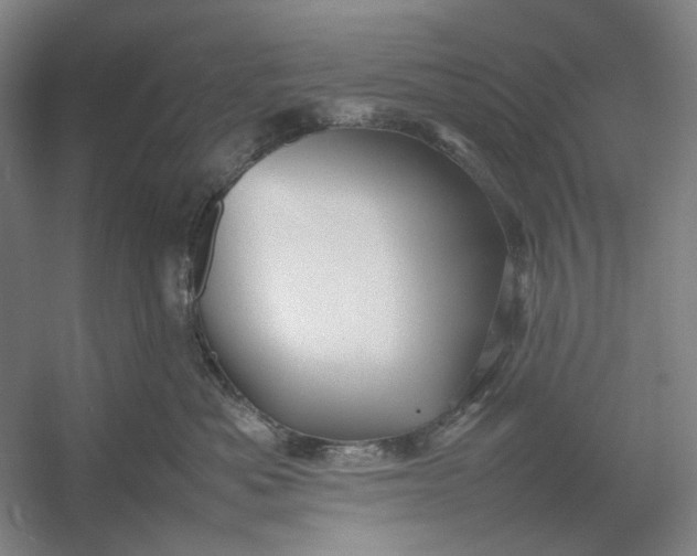X0000054410525200508192034