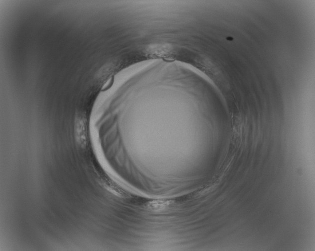 X0000054410526200508192034