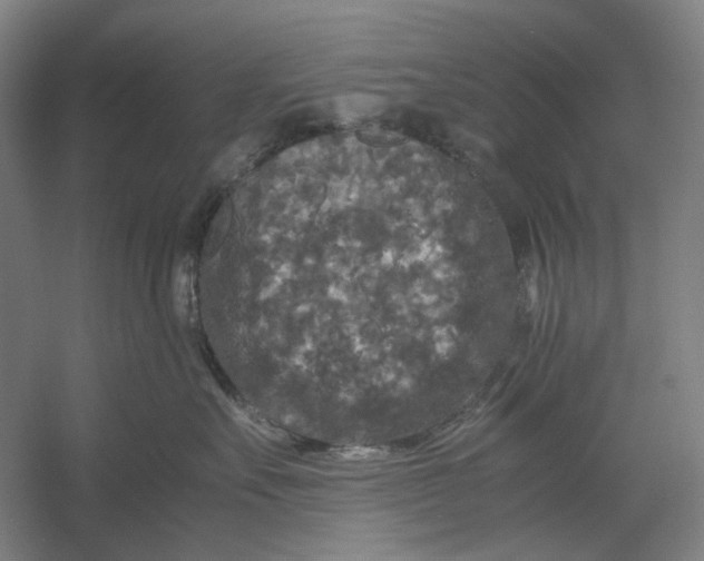 X0000054410527200508192034