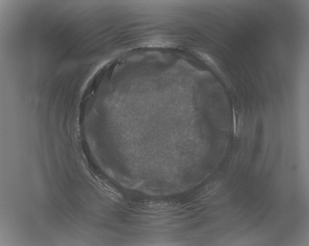 X0000054410531200508192033
