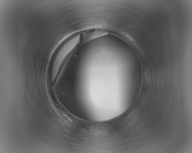 X0000054410532200508192033