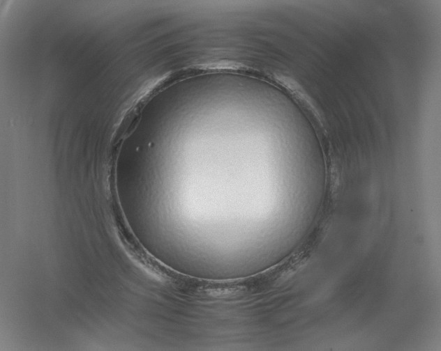 X0000054410533200508192033