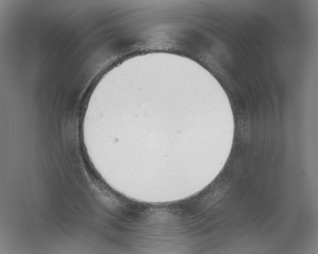 X0000054410534200508192034