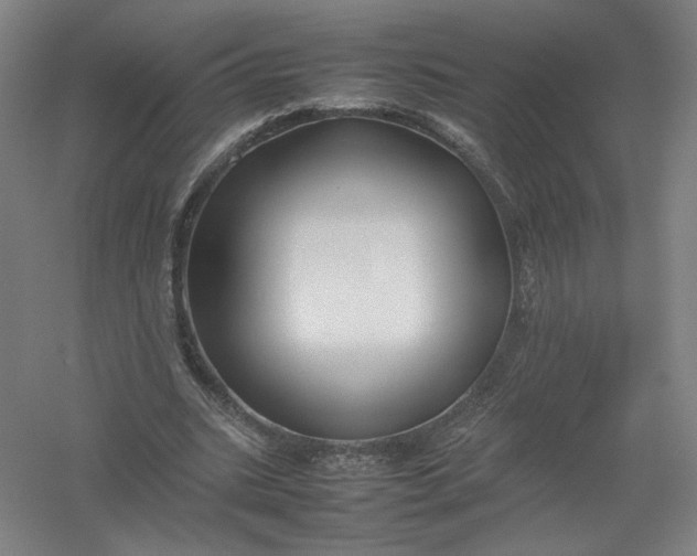 X0000054410535200508192034